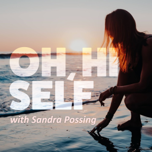 Oh Hi Self cover art